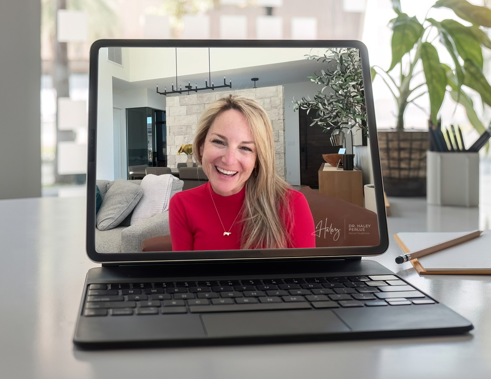 Dr Haley Coaching on Laptop